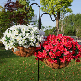 HyeFlora hotpink bougainvillea enhances balcony decor