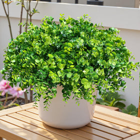 HyeFlora indoor-outdoor eucalyptus leaves for flexible spaces