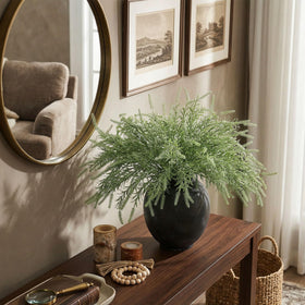 HyeFlora kitchen decor stem brings fresh look to spaces
