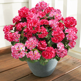 Low-maintenance flowers needing no watering or trimming.
