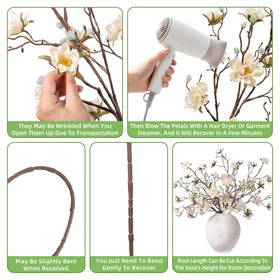 Hyeflora champagne magnolia branches offer timeless indoor accents.