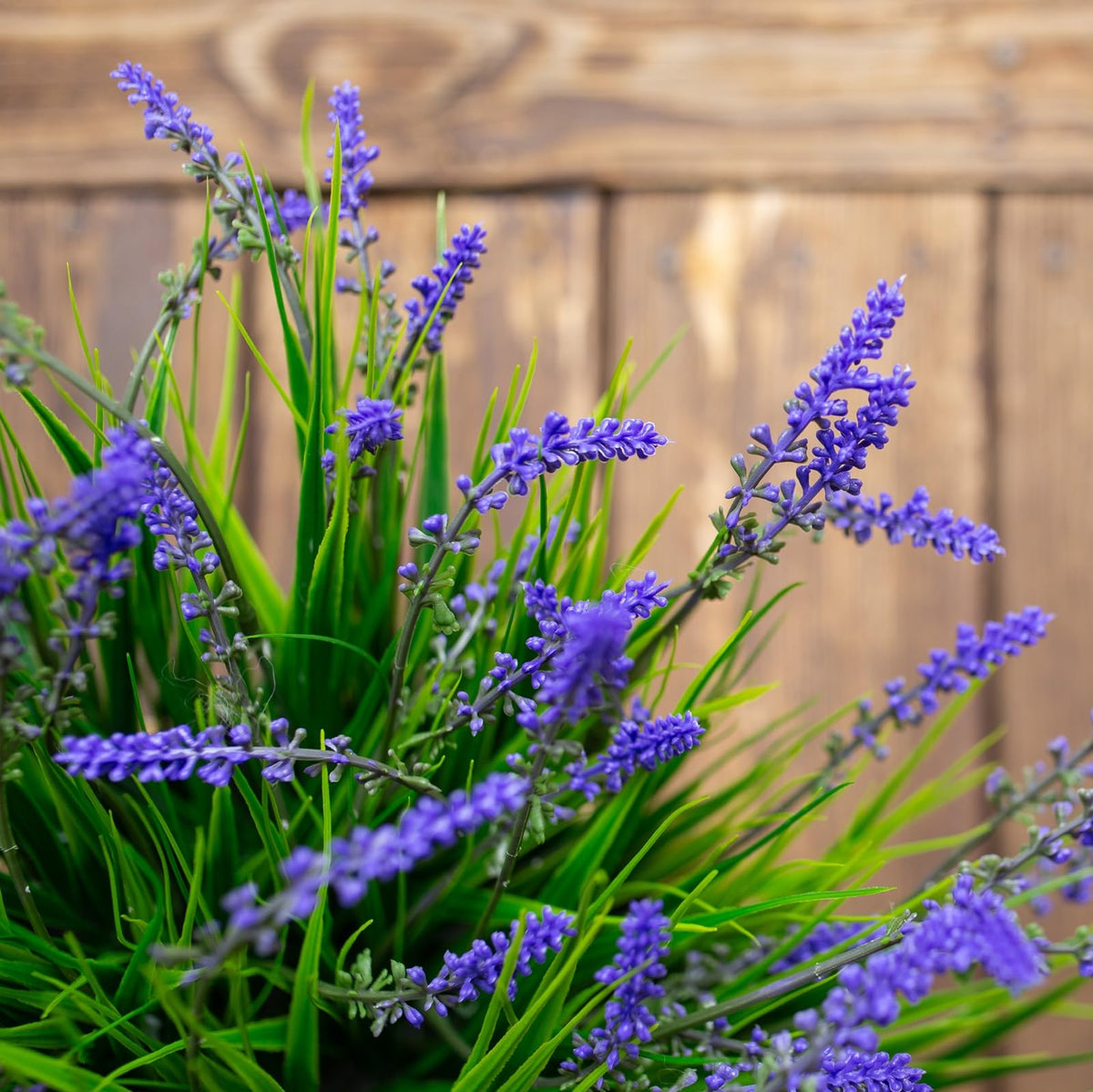 HyeFlora low-maintenance decor that stays fresh-looking with minimal care.