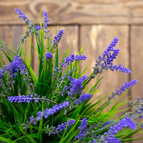 HyeFlora low-maintenance decor that stays fresh-looking with minimal care.