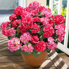 Weatherproof design preserves color across spring to autumn.