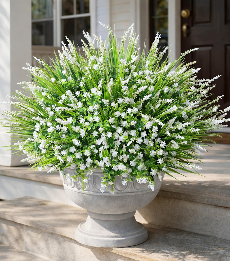 HyeFlora monkey grass bundle ready for outdoor display and low-maintenance delight