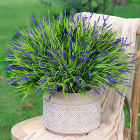 HyeFlora monkey grass for outdoor display, delivering year-round greenery and low maintenance.