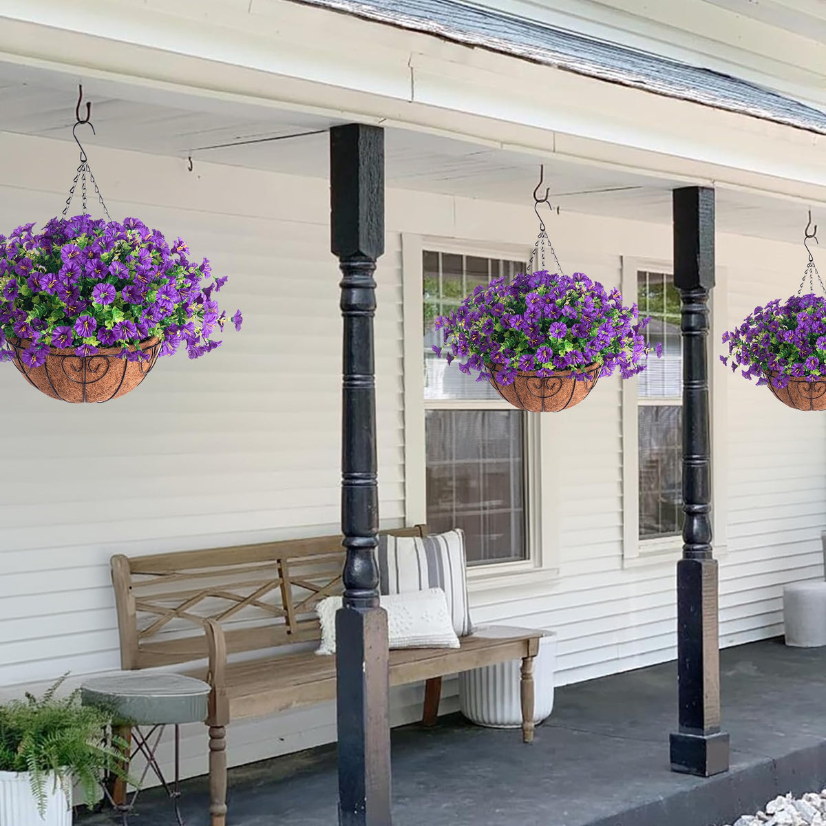 HyeFlora morning glory bundles in hanging basket—vibrant color for patios.