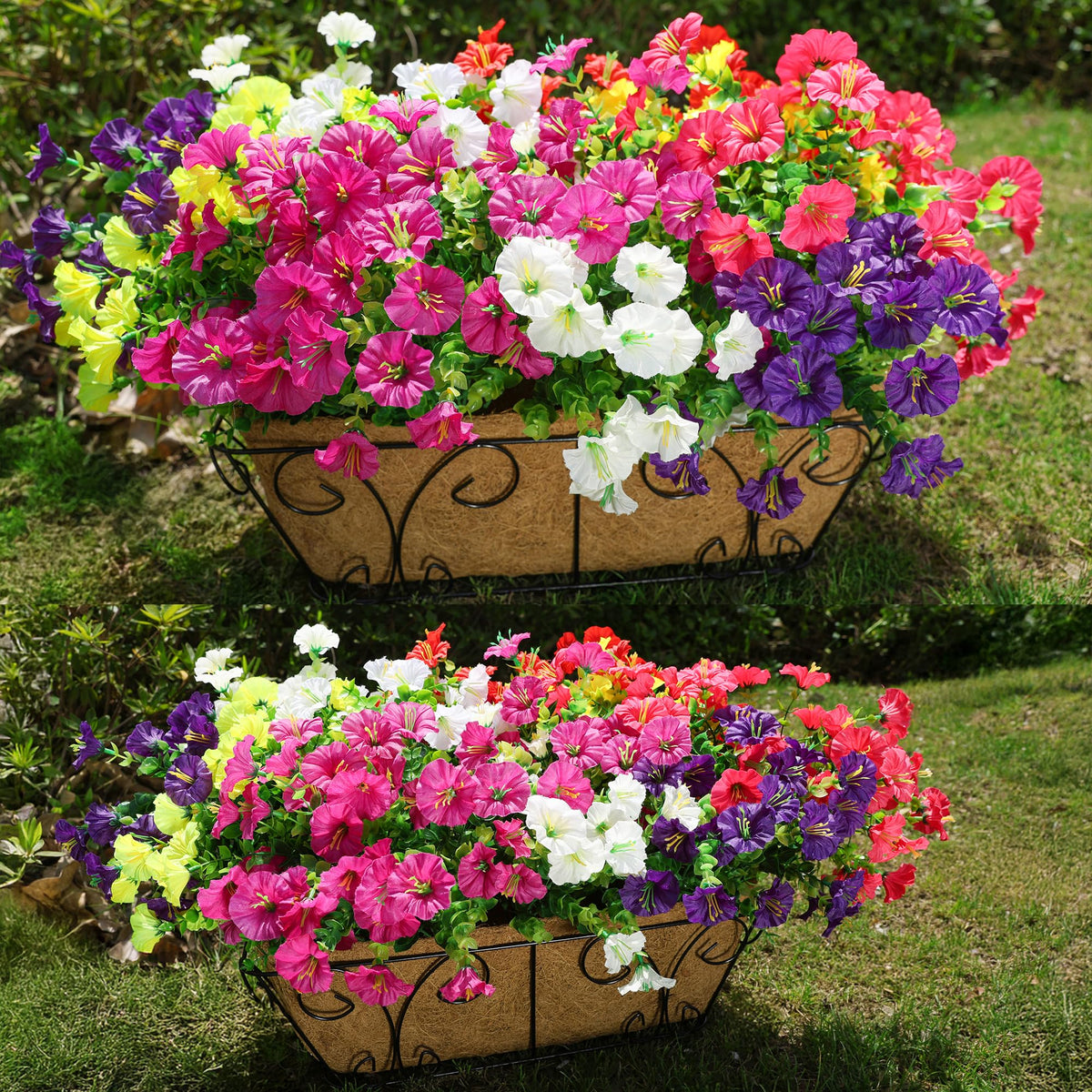 HyeFlora red morning glory outdoor bundle adds vibrant color to garden beds