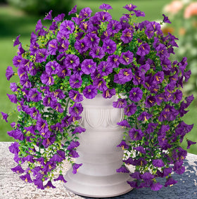 HyeFlora morning glory trailing vine for outdoor decor, UV resistant.