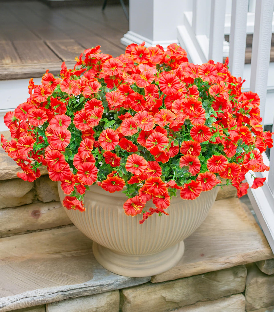HyeFlora orange morning glory with eucalyptus leaves for outdoor planters; UV resistant for sunlit entrances.