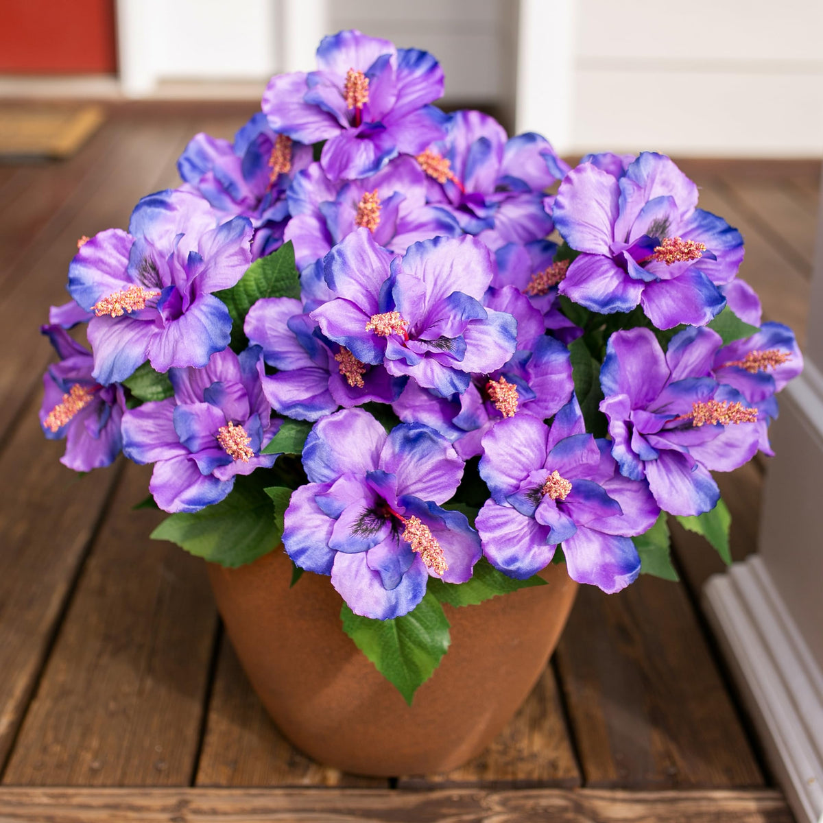 HyeFlora outdoor hibiscus arrangement ideas for deck and patio.