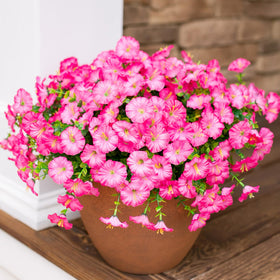 HyeFlora UV resistant pink morning glory arrangement for front doors.
