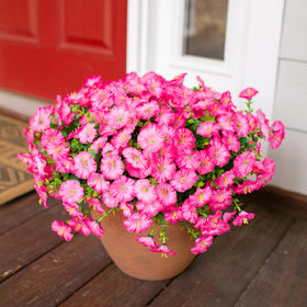 HyeFlora artificial flowers that stay vibrant through sun and rain.