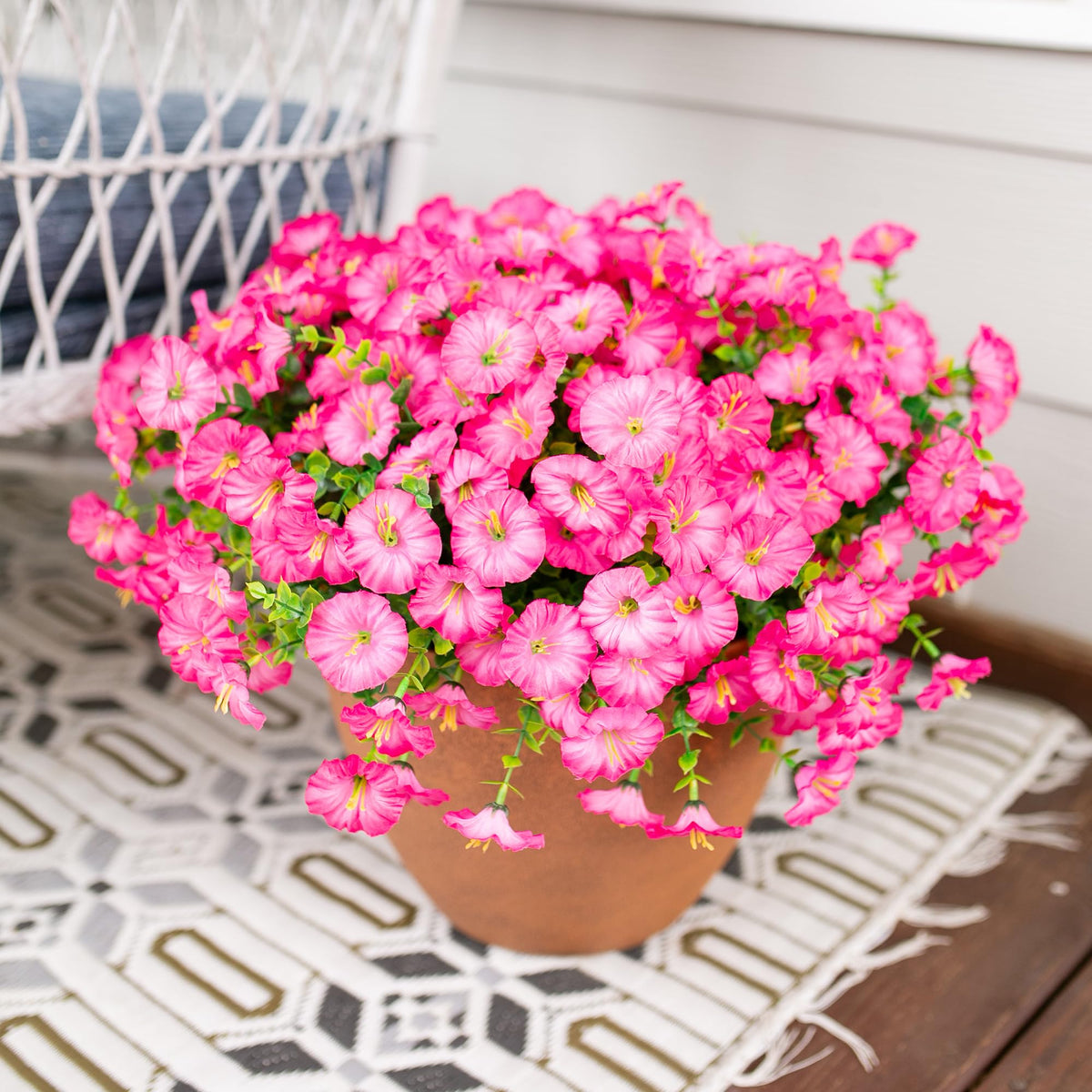 HyeFlora 12-bundle set suitable for planters and entryways.