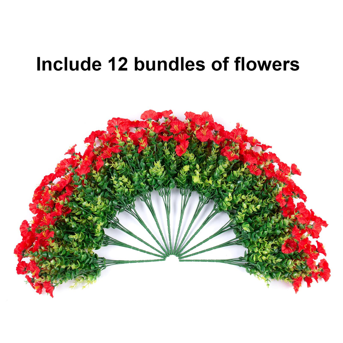 HyeFlora outdoor flower bundles ideal for planters with red morning glory