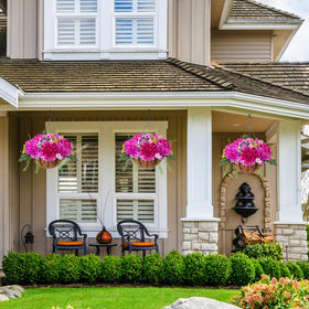 HyeFlora outdoor garden decor enhances porch and patio.