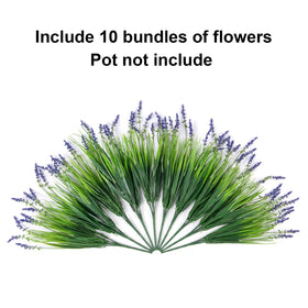 HyeFlora outdoor greenery for porches, patios, and window boxes.
