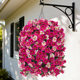 HyeFlora outdoor pansy hanging basket assembly ready for porch display