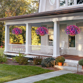 HyeFlora outdoor UV-resistant flowers stay vibrant in sun and weather.