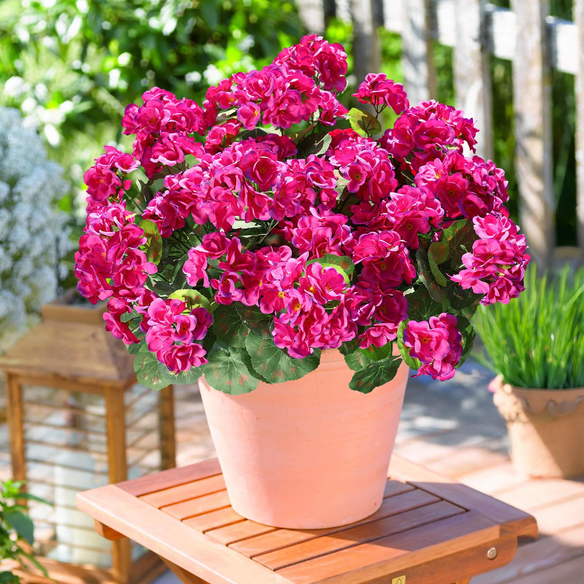 HyeFlora outdoor UV resistant geranium maintains color in weather.