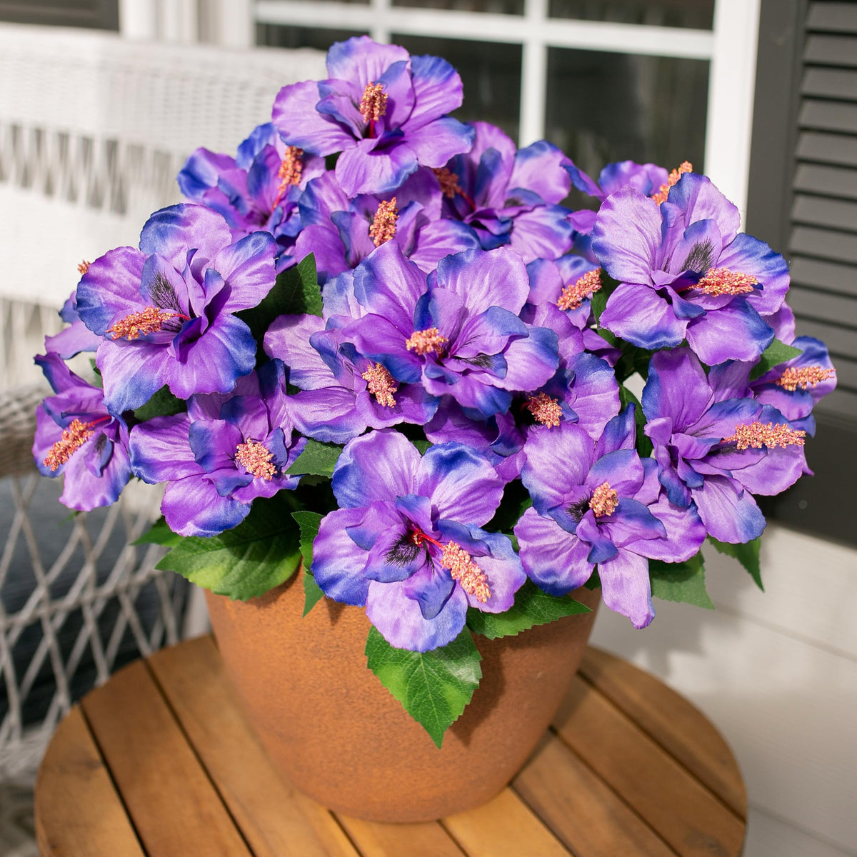 HyeFlora outdoor hibiscus UV-resistant flowers endure sun and rain.