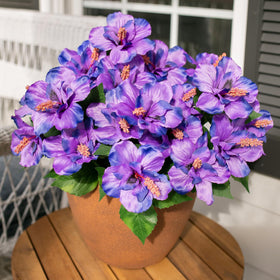 HyeFlora outdoor hibiscus UV-resistant flowers endure sun and rain.