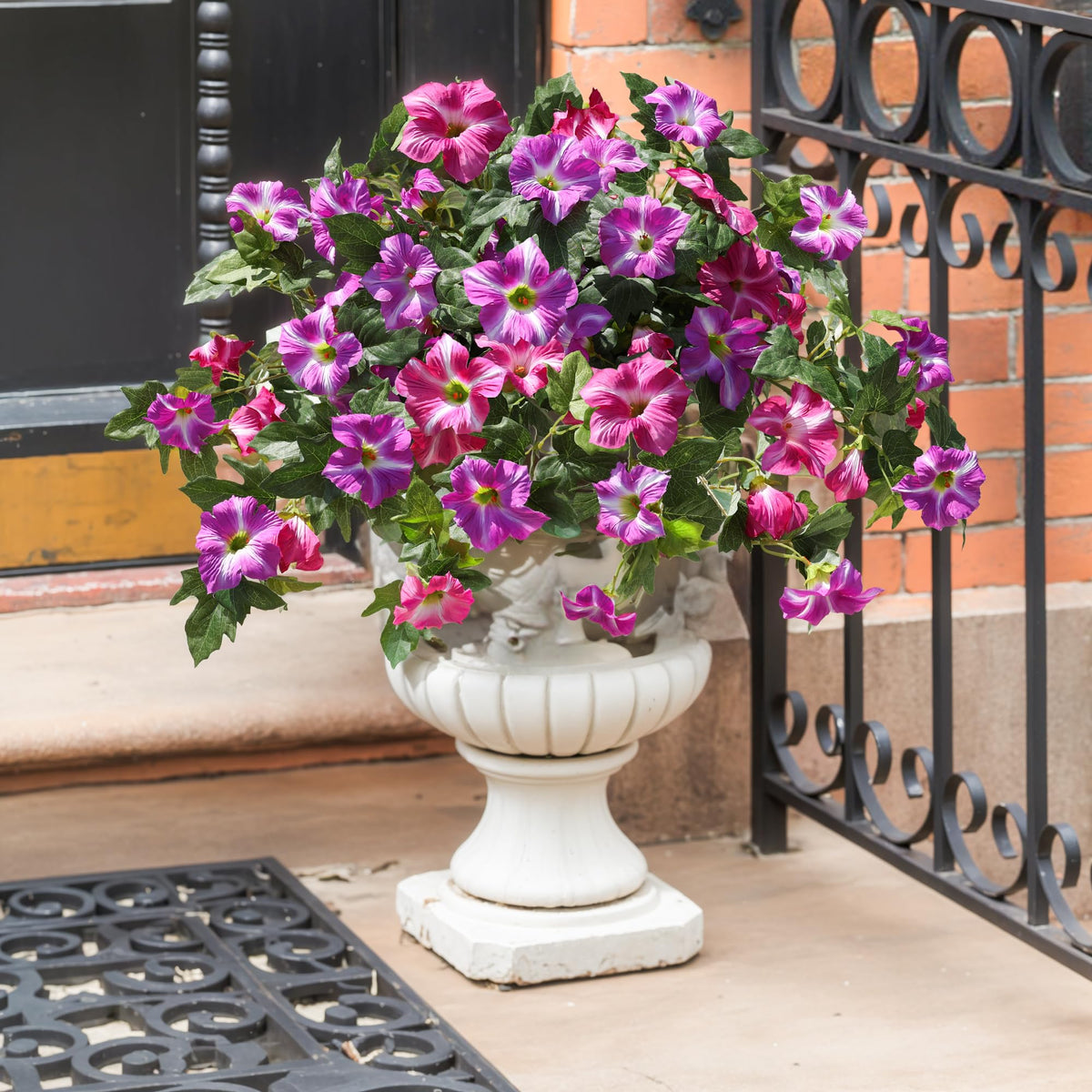 HyeFlora petunias maintenance-free display saves time