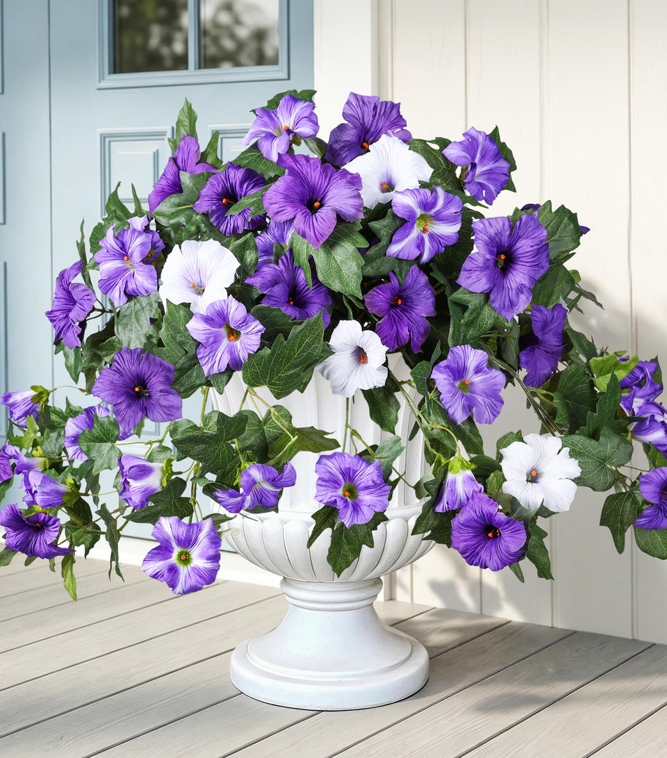 HyeFlora 2-pack outdoor petunias brighten planters with UV-resistant color