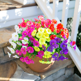 HyeFlora porch decor idea with outdoor-safe arrangement ready to elevate entrances