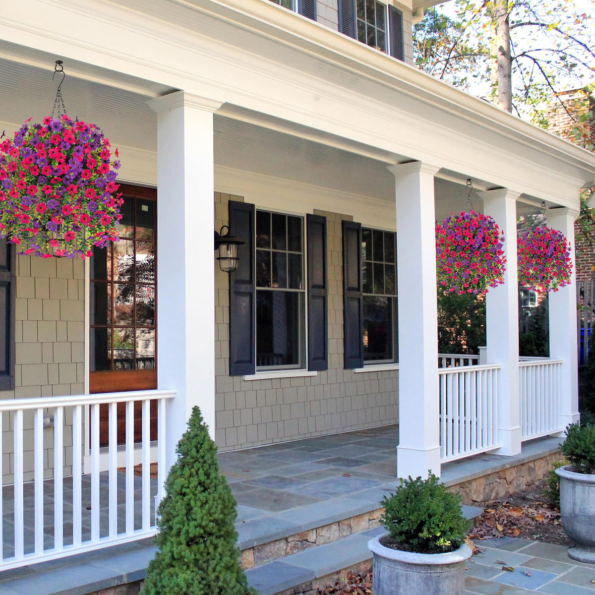 HyeFlora daisies brighten porch and garden entry
