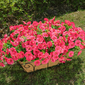 HyeFlora realistic outdoor plants add authentic beauty to garden beds