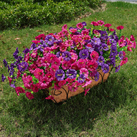 HyeFlora realistic outdoor blooms ideal for planters and pots