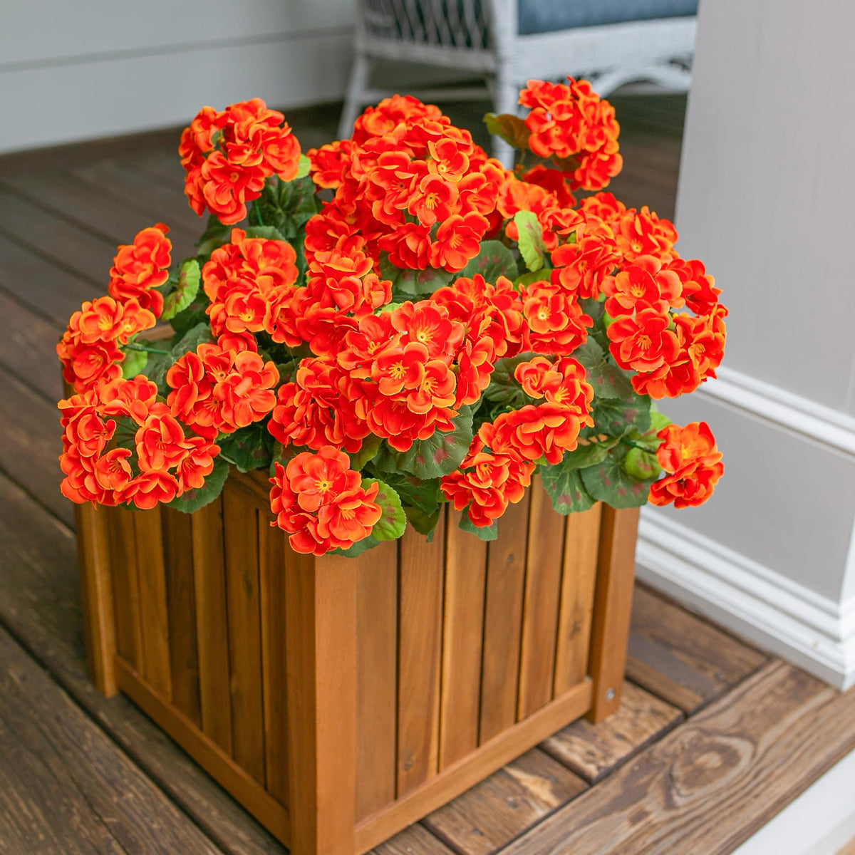 HyeFlora orange silk geraniums in planters adding low-maintenance beauty outdoors