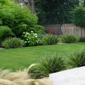 HyeFlora styling ideas for garden corners, window boxes, and entryways.