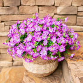 HyeFlora UV-resistant faux flowers for front door porch display outdoors