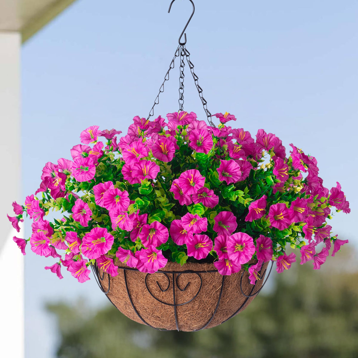 HyeFlora UV-resistant Morning Glory closeup demonstrates durable color