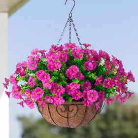 HyeFlora UV-resistant Morning Glory closeup demonstrates durable color