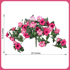 HyeFlora UV-resistant petunia blooms stay bright in sun