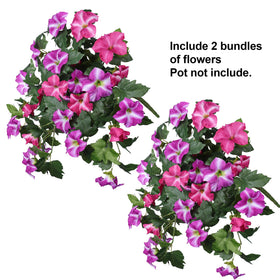 HyeFlora weather-resistant petunias endure sun and rain with color retention.