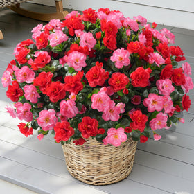 HyeFlora weatherproof artificial flowers resist fading for durable outdoor decor.