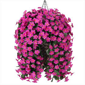 HyeFlora maintenance-free blooms brighten year-round outdoor spaces.