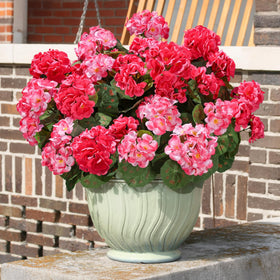 Bright blooms and lush greenery boost any seasonal display.