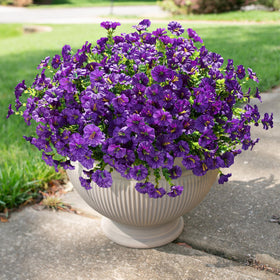 HyeFlora weatherproof outdoor flowers that resist sun and rain