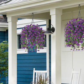 HyeFlora adds welcoming charm for daily decor and events.