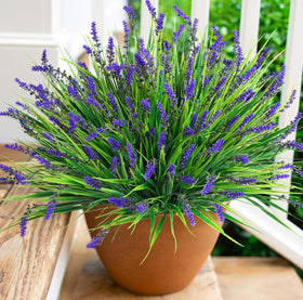 HyeFlora wide-angle garden setup with faux grasses framing a patio.