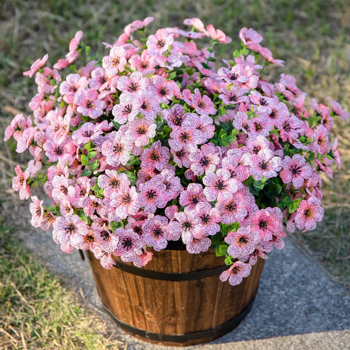 HyeFlora pink daisies for window boxes and planters.
