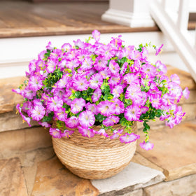 HyeFlora weatherproof faux plants suitable for porch decorations