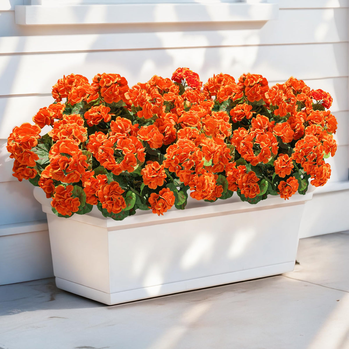 HyeFlora yard display with orange geraniums for welcoming spaces