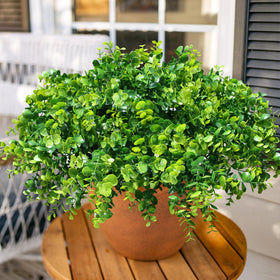 HyeFlora yard front-door eucalyptus branch adds welcoming greenery