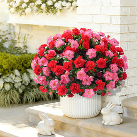HyeFlora yard garden camellia faux-plants elevate outdoor spaces effortlessly.